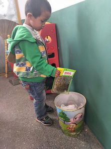 安全飲食 健康成長——隆化中心幼兒園食品安全教育活動紀實